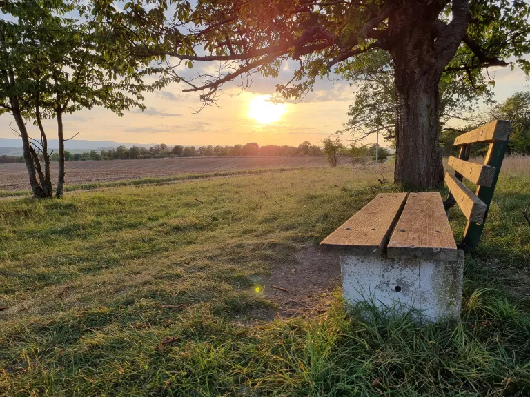 Bank in der Abendsonne