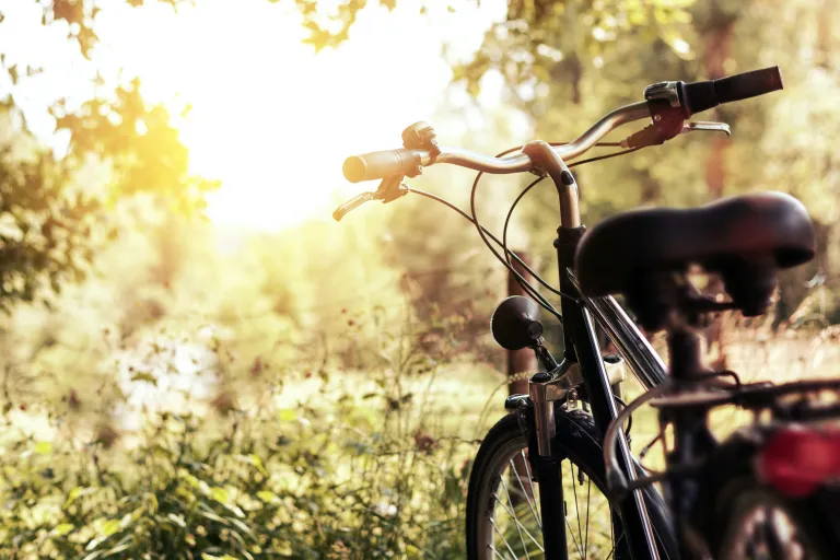 Fahrrad